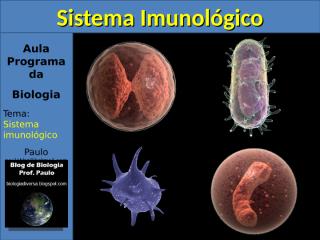 aula_sistema_imunologico.pps