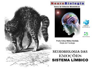 aula27.sistema_limbico_silvia.pdf
